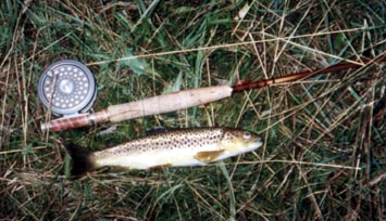 Doug's First rod & fish
