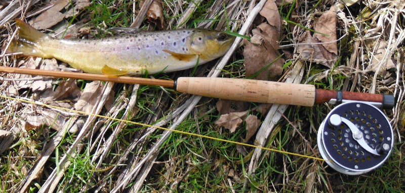 J.D. Wagner Patriot Rod and Letort brown trout
