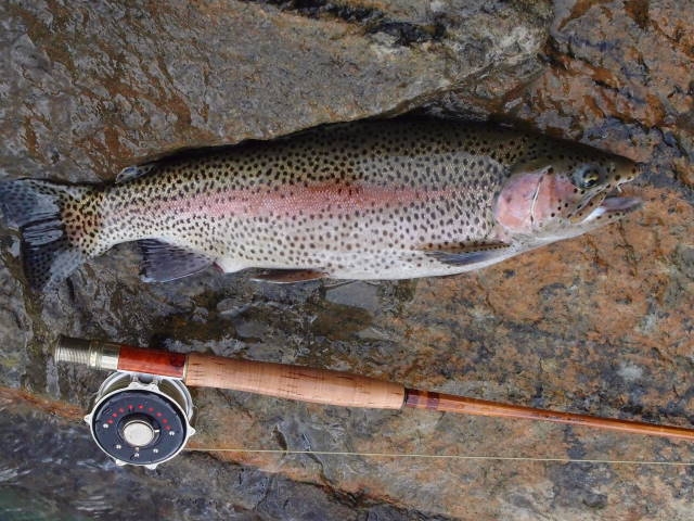 Wagner Rods Photo Contest Winner~ Sesia River Rainbow