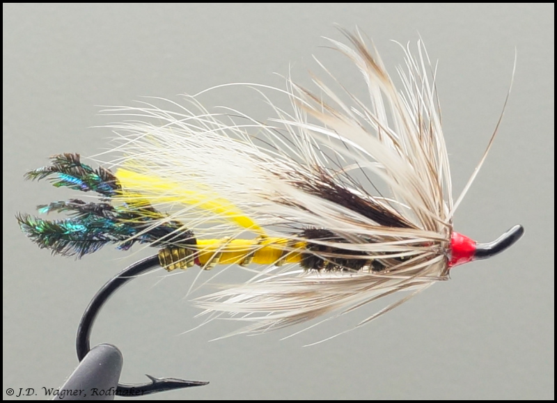 Salmon fly