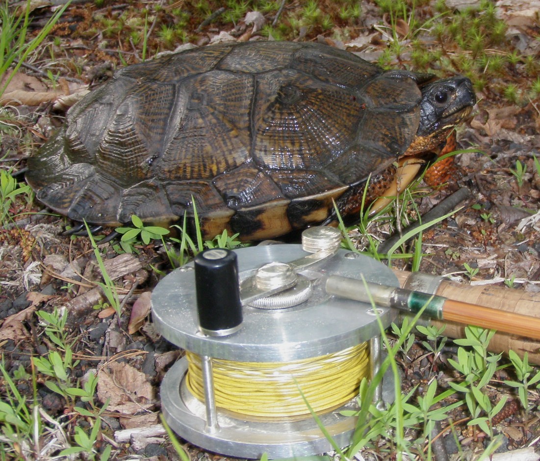 J.D. Wagner Small Batch Reels in the Edward vom Hofe Style