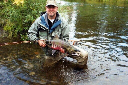 Wow! Look at the colors in this fish!