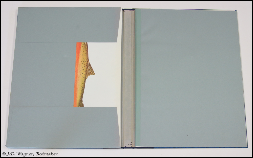 Salmon Of The World Ernest Schwiebert Limited Edition 611/750